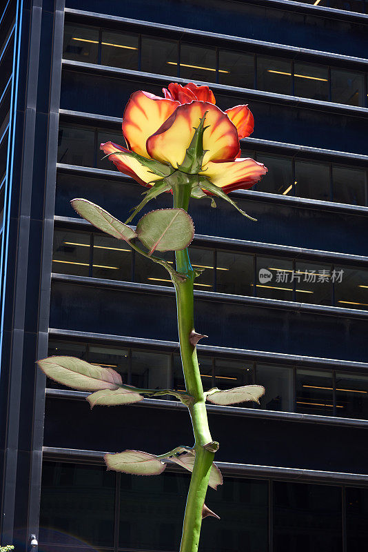 玫瑰III，德国艺术家Isa Genzken的雕塑，位于纽约曼哈顿下城祖科蒂公园，与自由广场一号的黑钢相映衬。